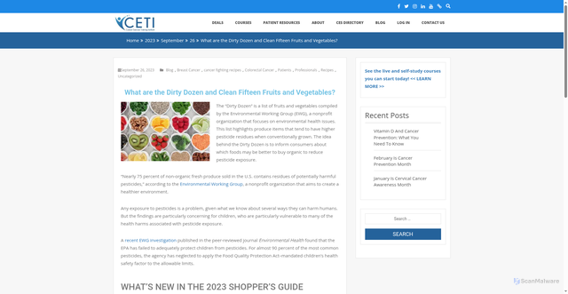 Security scan screenshot of https://www.thecancerspecialist.com/2023/09/26/what-are-the-dirty-dozen-fruits-and-vegetables/