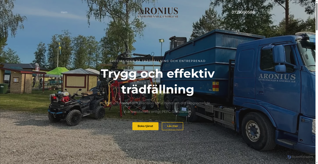 Security scan screenshot of https://aronius.nu