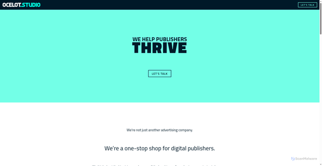 Security scan screenshot of https://ocelot.studio