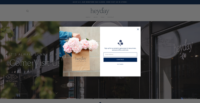 Security scan screenshot of https://heydaybozeman.com