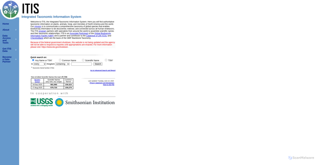Security scan screenshot of https://itis.gov/