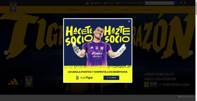 Security scan screenshot of https://www.tigres.com.mx/en/