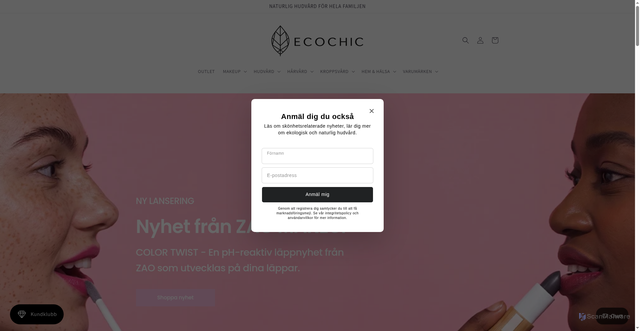 Security scan screenshot of https://ecochic.se