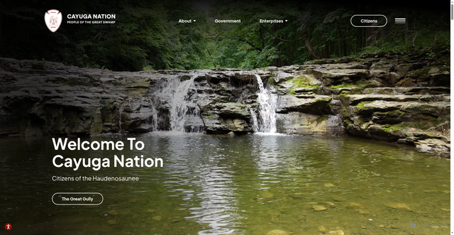 Security scan screenshot of https://cayuganation-nsn.gov/