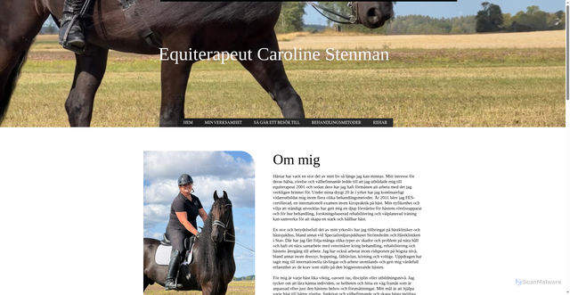 Security scan screenshot of https://carolinestenman.se