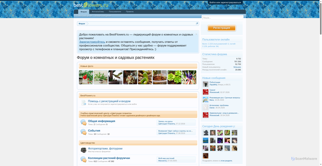 Security scan screenshot of https://bestflowers.ru