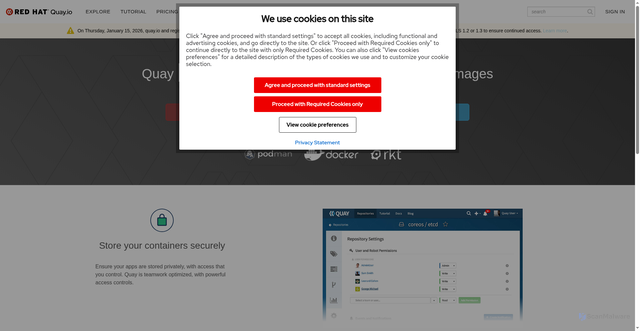 Security scan screenshot of https://cdn05.quay.io