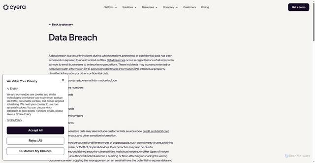 Security scan screenshot of https://www.cyera.com/glossary/data-breach