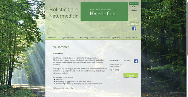Security scan screenshot of https://holisticcare.se