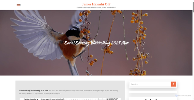 Security scan screenshot of https://jameshayashiop.pages.dev/yywm-social-security-withholding-2025-max-bsizu/