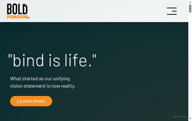 Security scan screenshot of https://boldpenguin.com