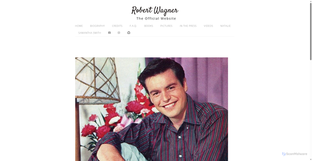 Security scan screenshot of https://www.robert-wagner.com/