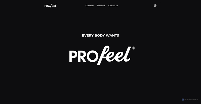 Security scan screenshot of https://www.profeel.com/