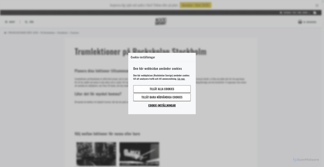 Security scan screenshot of https://trumlektionerstockholm.se