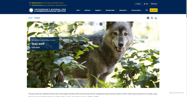 Security scan screenshot of https://nationalzoo.si.edu/animals/gray-wolf