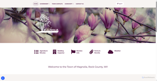 Security scan screenshot of https://magnoliawi.gov/