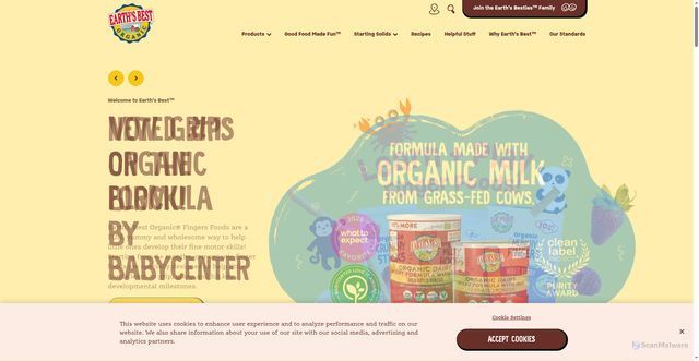 Security scan screenshot of https://www.earthsbest.com/