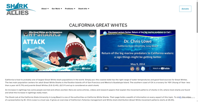 Security scan screenshot of https://sharkallies.org/us-sharks/california-great-whites