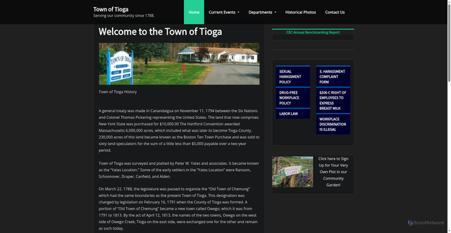 Security scan screenshot of https://townoftiogany.gov/