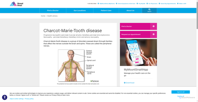 Security scan screenshot of https://www.mountsinai.org/health-library/diseases-conditions/charcot-marie-tooth-disease