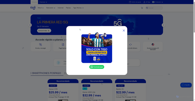 Security scan screenshot of http://tigosvopas.help/