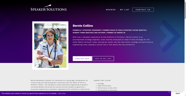 Security scan screenshot of https://www.speakersolutions.ie/browse/bernie-collins-formula-1-speaker.2701.html