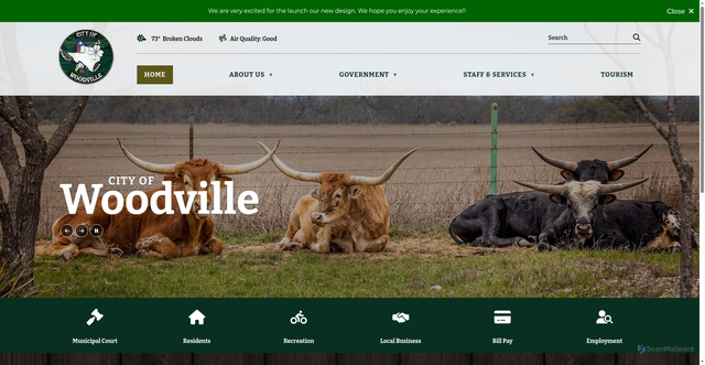 Security scan screenshot of https://www.woodville-tx.gov/