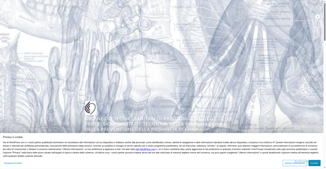 Security scan screenshot of https://tsrmenna.com/