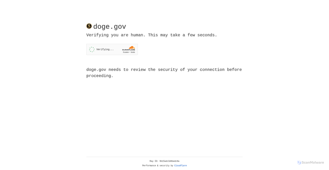 Security scan screenshot of https://doge.gov/