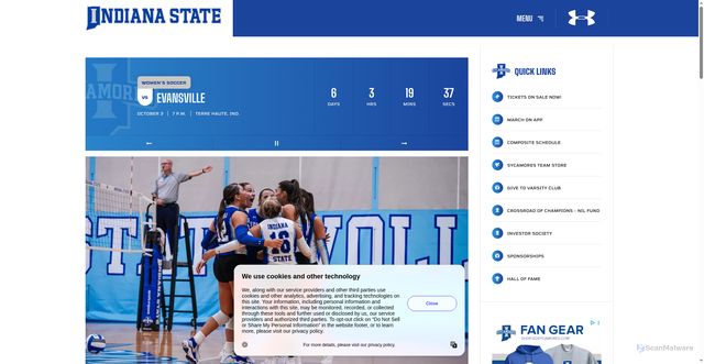 Security scan screenshot of https://gosycamores.com