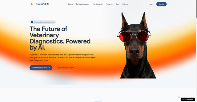 Security scan screenshot of http://duckvet.com/