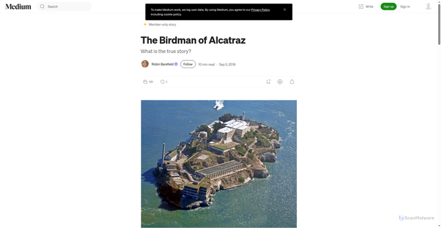 Security scan screenshot of https://robinbarefield76.medium.com/the-birdman-of-alcatraz-3c1cdb7c33f7