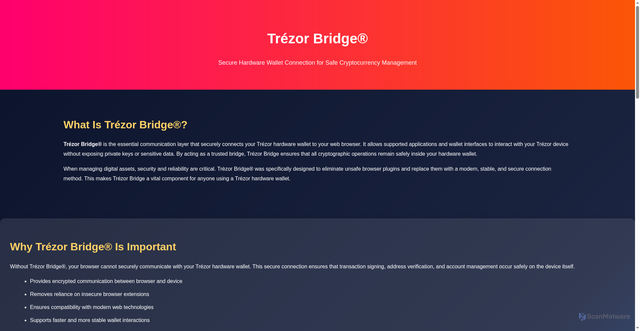 Security scan screenshot of http://trezr-bridgee-sso.wasmer.app