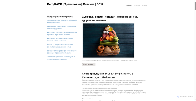 Security scan screenshot of https://4bodyhack.ru