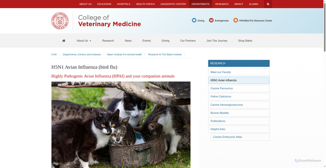 Security scan screenshot of https://www.vet.cornell.edu/departments-centers-and-institutes/baker-institute-animal-health/research-baker-institute/h5n1-avian-influenza-bird-flu