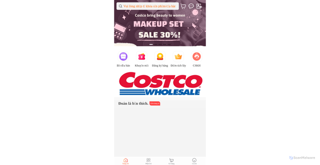 Security scan screenshot of https://costcovn059.com/