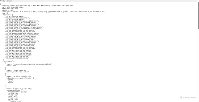 Security scan screenshot of https://tls.peet.ws/api/all