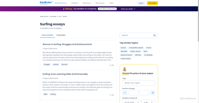 Security scan screenshot of https://hub.edubirdie.com/examples/surfing/