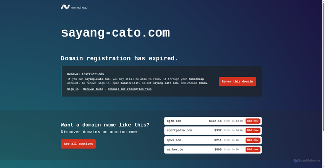 Security scan screenshot of https://sayang-cato.com