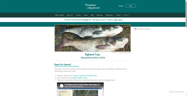 Security scan screenshot of https://www.paimapinvasives.org/gallery-2-bighead-carp
