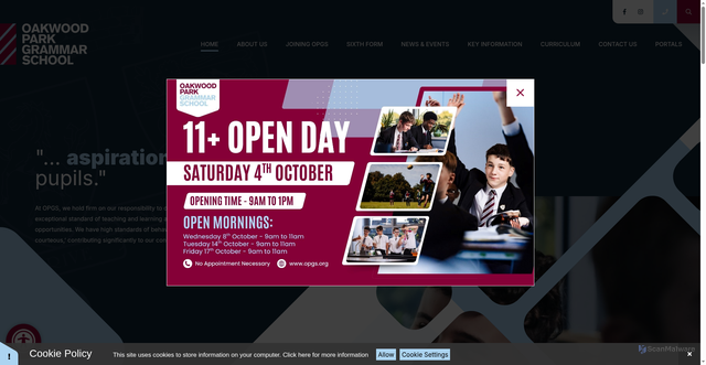 Security scan screenshot of https://www.opgs.org/