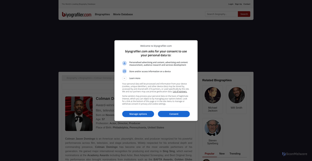 Security scan screenshot of https://www.biyografiler.com/en/biography/colman-domingo
