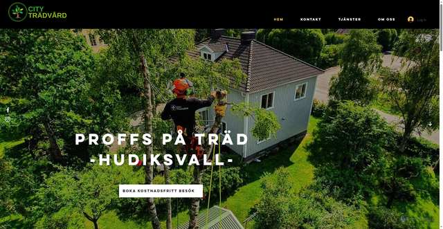Security scan screenshot of https://xn--hudiksvalltrdfllning-mzbc.se