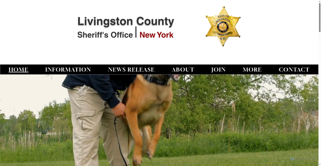 Security scan screenshot of https://www.livingstonsheriffny.gov/