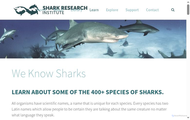 Security scan screenshot of https://www.sharks.org/species