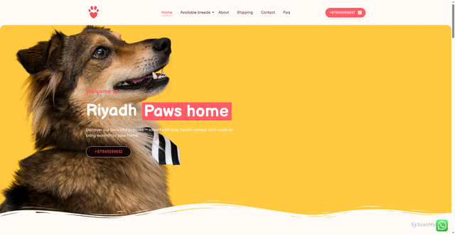 Security scan screenshot of https://zayanpetshome.com