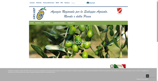 Security scan screenshot of https://www.arsarp.it/