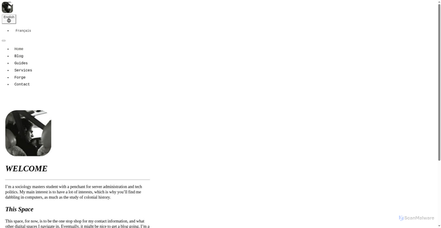 Security scan screenshot of https://ayakael.net