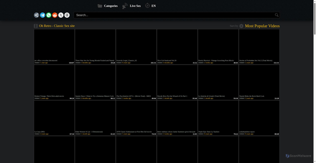 Security scan screenshot of https://www.retrooh.com