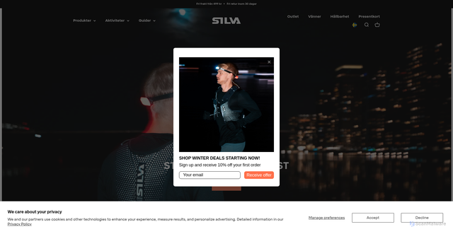 Security scan screenshot of https://silvasweden.com/